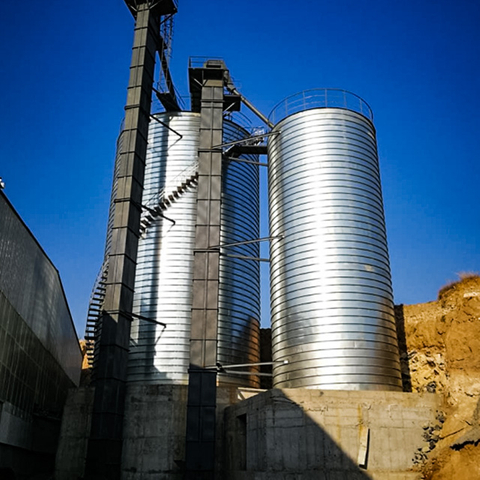 Chain bucket elevator
