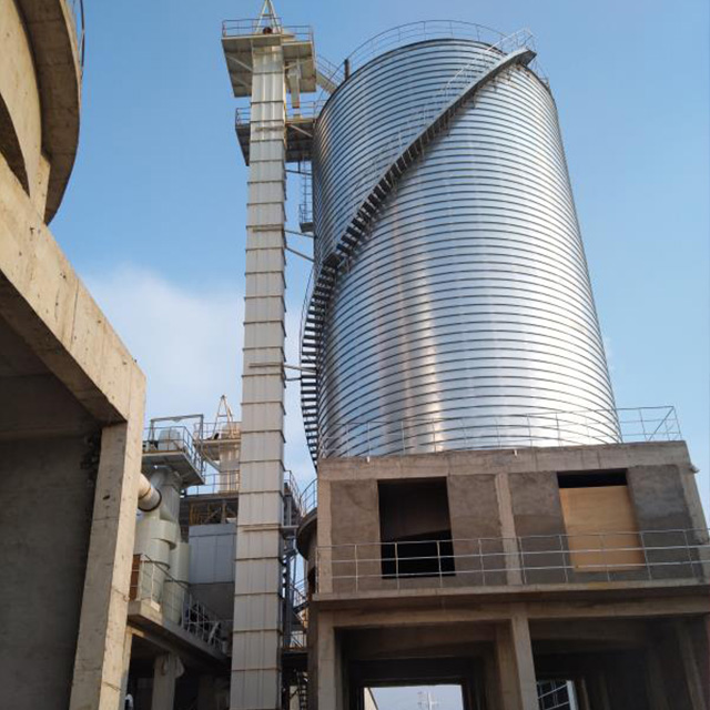Chain bucket elevator