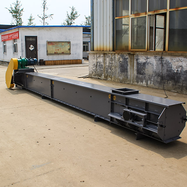 Roller chain scraper