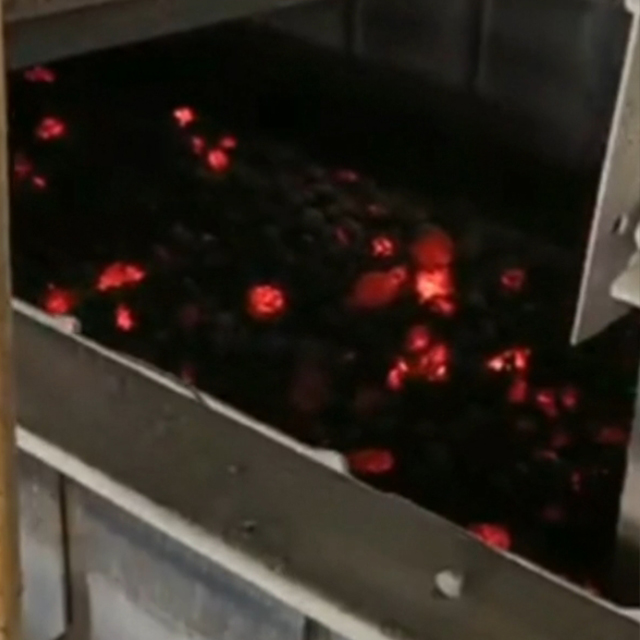 Chain bucket conveyor
