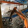 Scrap Steel Apron Conveyor